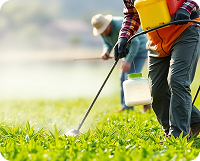 NPK 15-15-15 Complex Fertilizer - 4